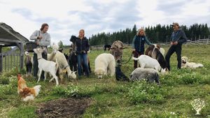 Refuge pour Animaux, Ferme équestre et pédagogique, Garderie Cainin, Destination agrotouristique