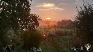 Voormalige ecologisch verbouwde boerderij op 2 hectare natuurrijk erf, bos en weide