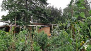 Petite entreprise d'apiculture. Enseignement, élevage de reines, production de miel