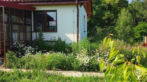 the back of my house