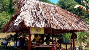 Carbet traditionnel amazonien en feuilles de palmier