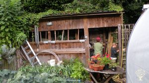 Wwoofer children go exploring in our woodshed...