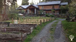 Family home and garden - rural