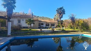 Huerta de 4000 m2 de autoconsumo y olivar de secano de 2,3 has