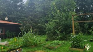 One part of the vegetable garden. We just started a few months ago.