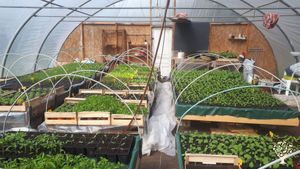 Ferme maraichère bio sur sol vivant, vergers et rénovation écologique des bâtiments