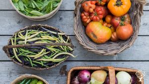 A No-Till Grow-to-Donate farm w/Vegetables & Flowers