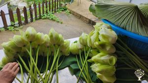 <JN134>쉼과 치유가 함께하는 농장/A Farm of Rest and Healing