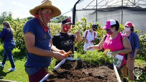 Organic seed production farm