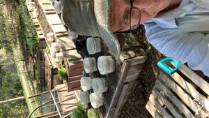 Urban lot and community garden