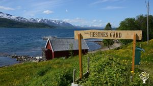Horse Ranch, Mixed Farm, Farm
