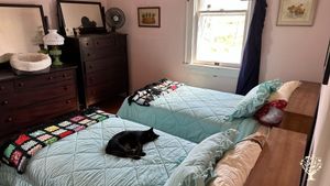 WWOOFer bedroom, cat optional