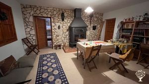 Permaculture farm, food forest in the making, kombucha brewing