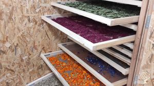 Ferme de plantes aromatiques et médicinales AB