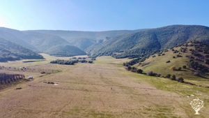 We call this the rock farm (since it’s full of rocks). 
