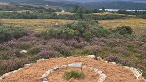 New herb/veg bed in preparation 