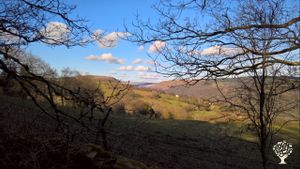 Looking out from the hill behind us (Mynydd Aly-y-Grug)...