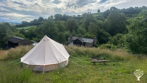 Setting up smallholding in the Welsh Border Hills.