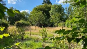 Lieu d’accueil familial avec grand jardin pour fans de biodiversité et de convivialité
