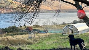 A small croft in the north west Highlands of Scotland-  building structures, growing food and trees.