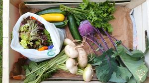 Community Supported Agriculture (CSA) crop share scheme and Registered Charity