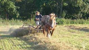 Preserved Seed Farm - Farma Uchované Semínko