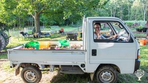 A No-Till Grow-to-Donate farm w/Vegetables & Flowers
