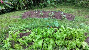 Barranquitas Puerto Rico