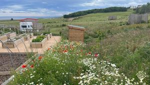 Eat Sleep Ride is a 24-acre off-grid equine and community farm