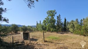 Piece of the land 