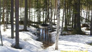 Farm in a remote silent and calm area