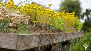 Eco lieu & organisme de formation