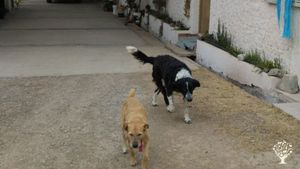 Establecimiento agro vitícola con fines educativos y turístico