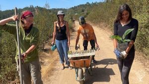 Machada is a study center for human connection, presence, and a more natural way of living together.