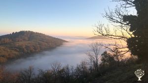 Jardin permaculture, herbes aromatiques, médicinales, verger fruitier, jardin et verger partagé,