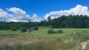 Organic  farming in the absolute beginning. Planning 3 hectare land for farming and forest  gardens.