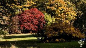 Flower grower, tree nursery, woodland, house and garden