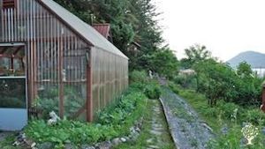 Southeast Alaska remote island homestead near Juneau