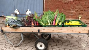 Small farm producing vegetables, fruits and raising chicken