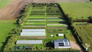 Zelfpluk csa groenten en kleinfruit