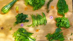 Uno dei raccolti estivi 🌱