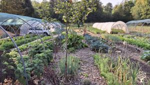 Organic regenerative family farm at the foot of the Alps
