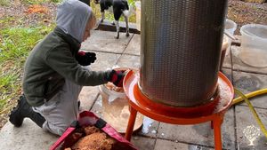 A family farm in Skirö, having bees, animals and making a lot of Appel juice etc