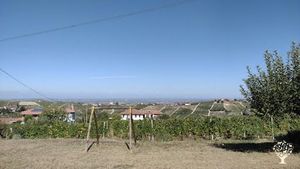 Azienda prevalentamete viticola ,con annesso agriturismo con cucina