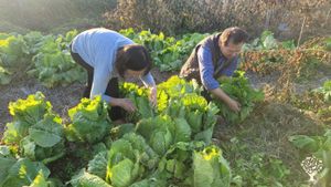 <GG133>예술로 농사짓고 농사로 평화짓자 / Farm with art, build peace with farming