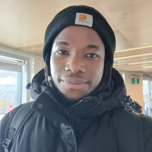 IB