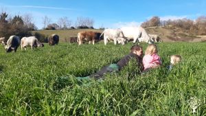 Piccola azienda biologica sulle colline umbre