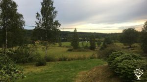 Family home and garden - urban