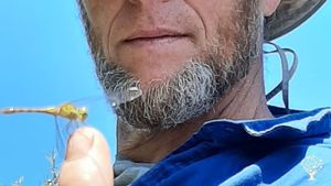 Domaine viticole Bio/Nature nous développons une agriculture régénérative par l' agro-foresterie .