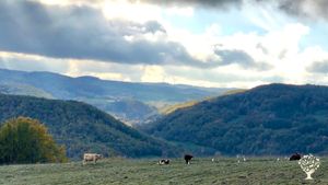 Création d’un lieu résilient avec design en permaculture
